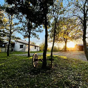 Ovostolai Fonni